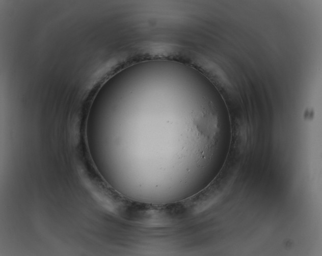 X0000093390496200710111518