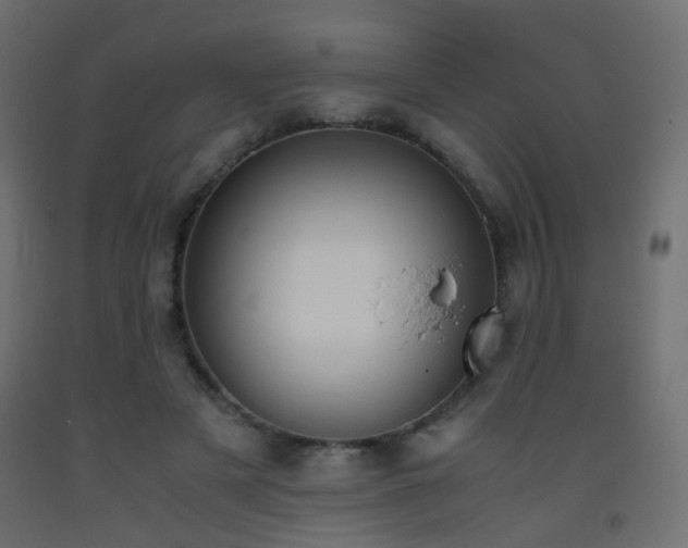 X0000093390497200710111518