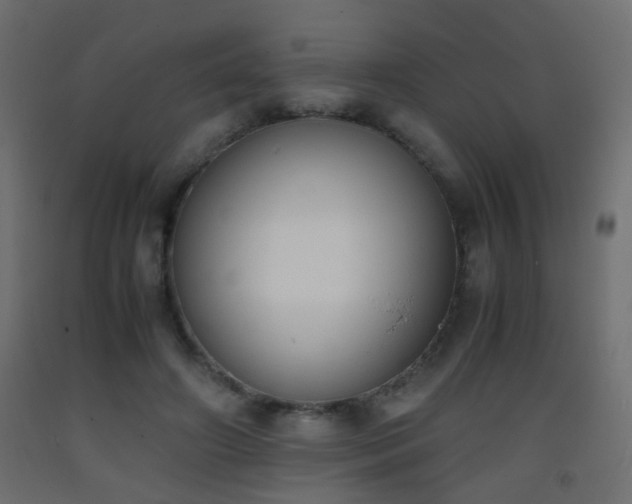 X0000093390498200710111518