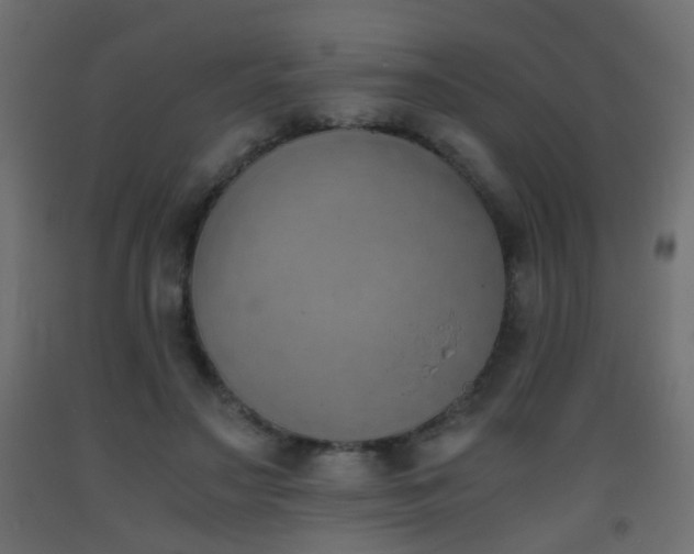 X0000093390499200710111518