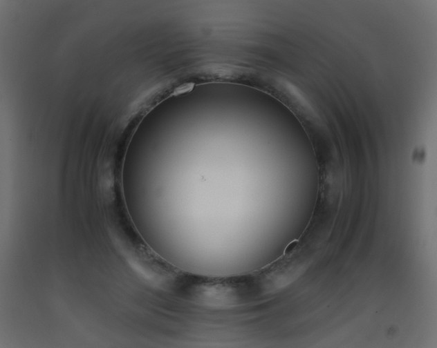 X0000093390500200710111518