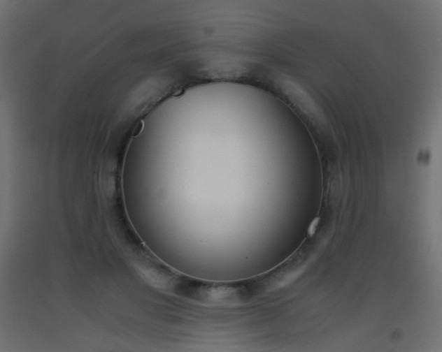 X0000093390501200710111518