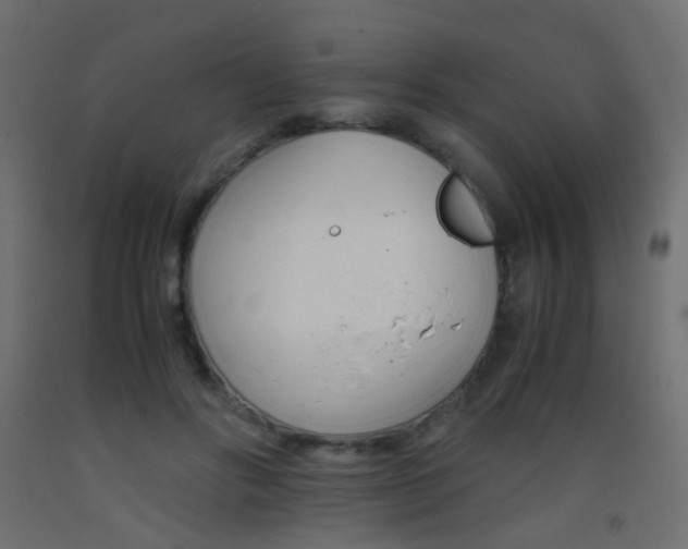 X0000093390502200710111518