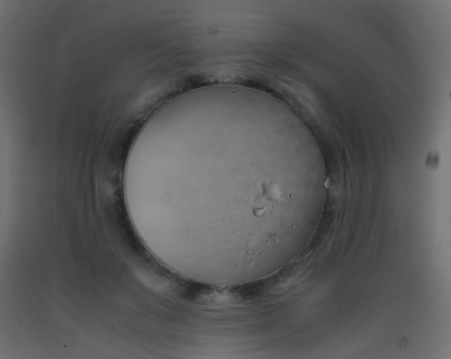 X0000093390503200710111518