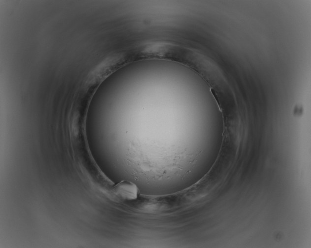 X0000093390504200710111518