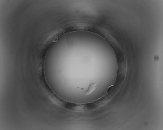 X0000093390505200710111518