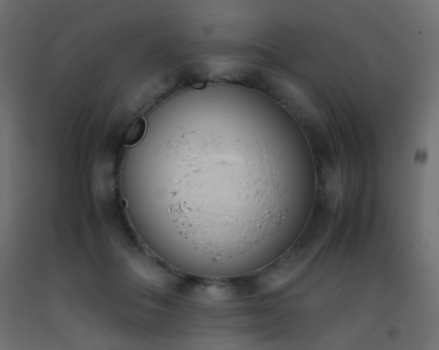 X0000093390506200710111518