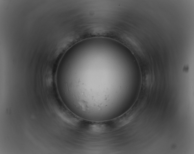 X0000093390508200710111518