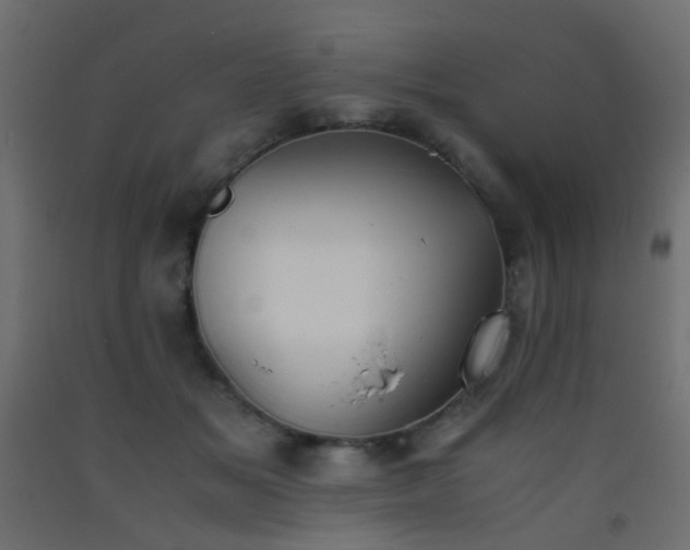 X0000093390509200710111518