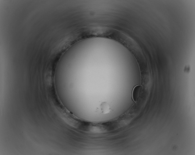 X0000093390510200710111518