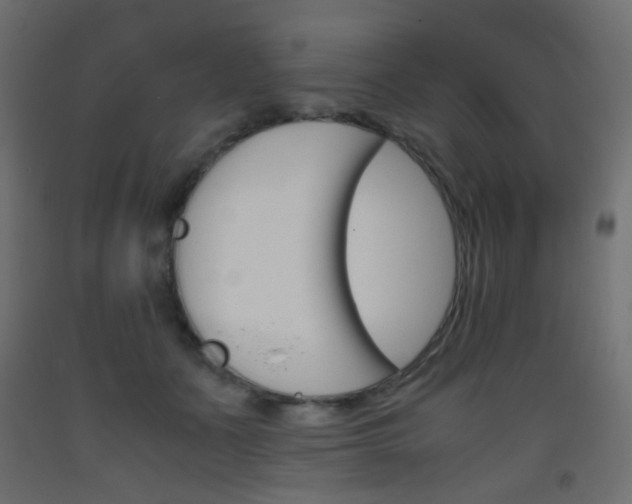 X0000093390511200710111518