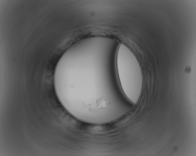 X0000093390513200710111517