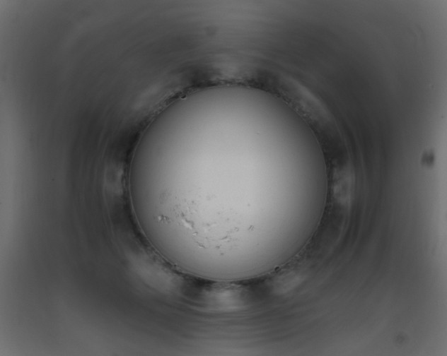 X0000093390514200710111517