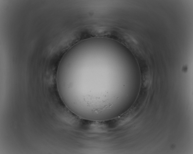 X0000093390515200710111517