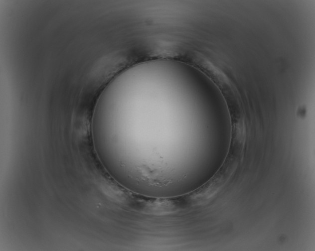 X0000093390517200710111517