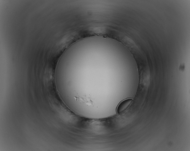 X0000093390518200710111517