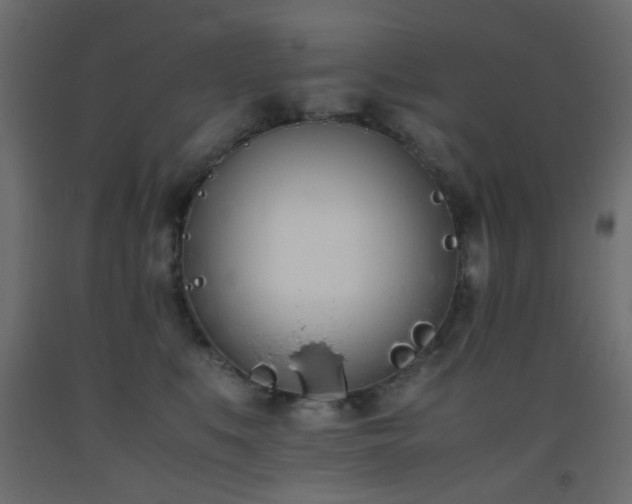 X0000093390519200710111517