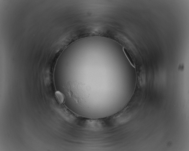 X0000093390520200710111517