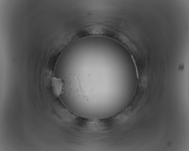 X0000093390521200710111517