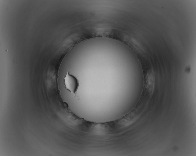 X0000093390522200710111517