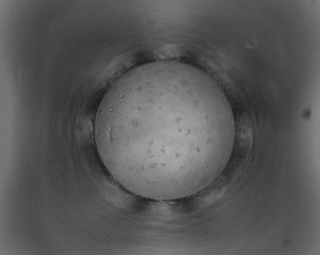 X0000093390523200710111517