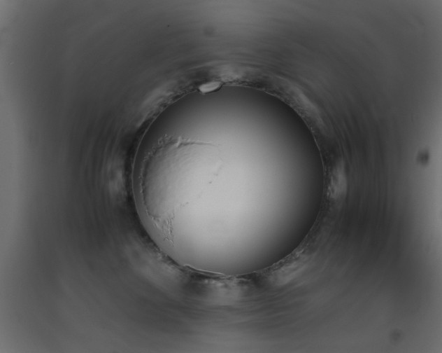 X0000093390524200710111517