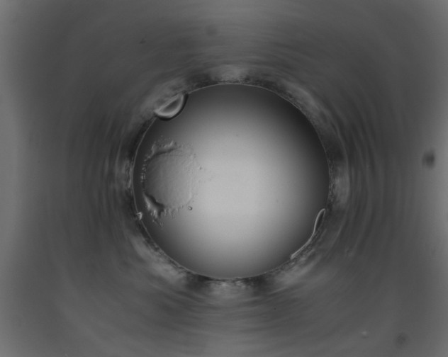 X0000093390525200710111517