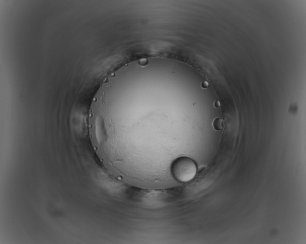 X0000093390527200710111517