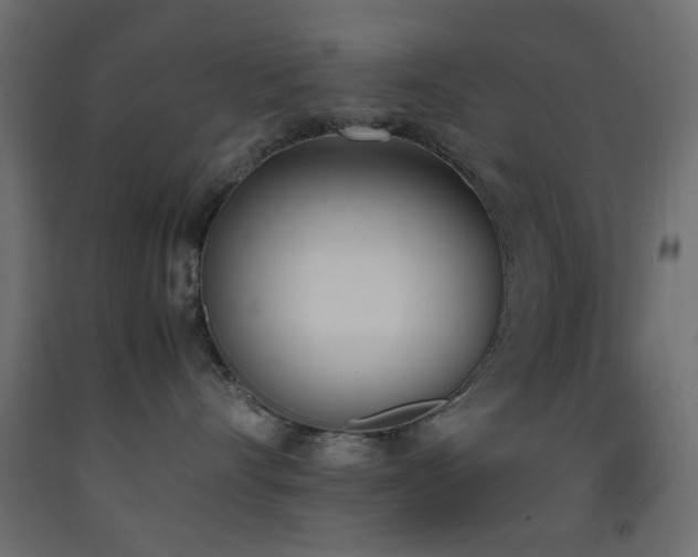 X0000093390528200710111517