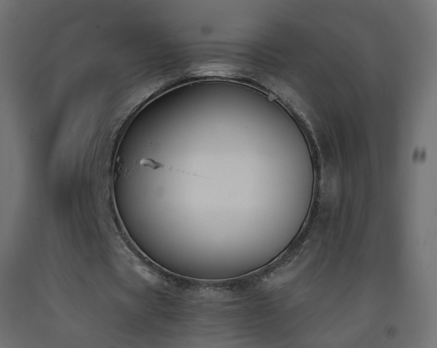 X0000093390529200710111517