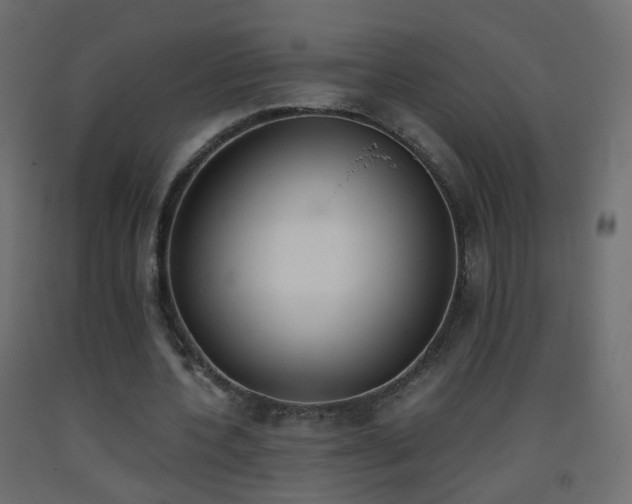 X0000093390532200710111517