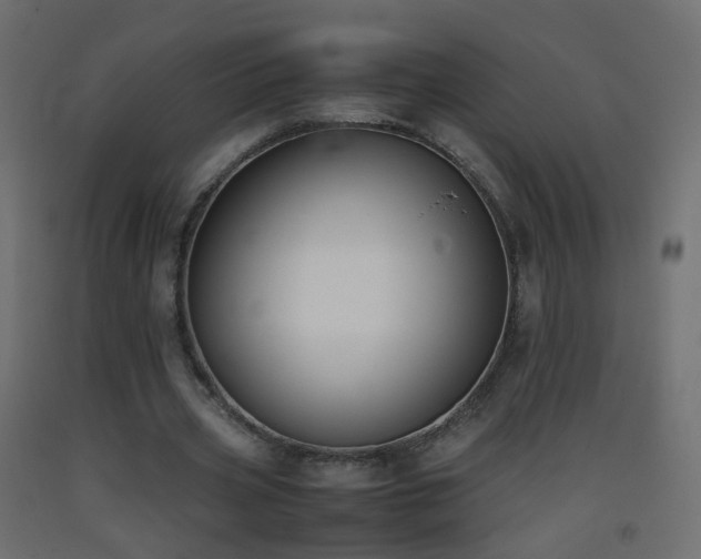 X0000093390533200710111517