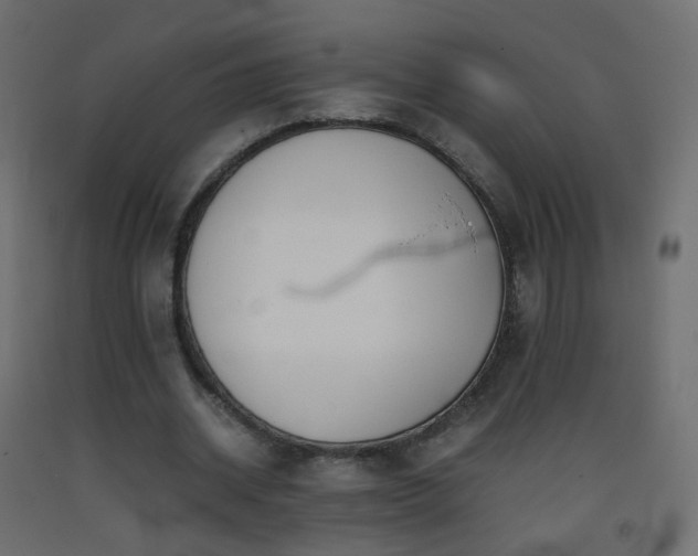 X0000093390534200710111517