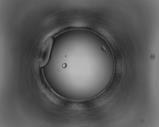 X0000093390535200710111517