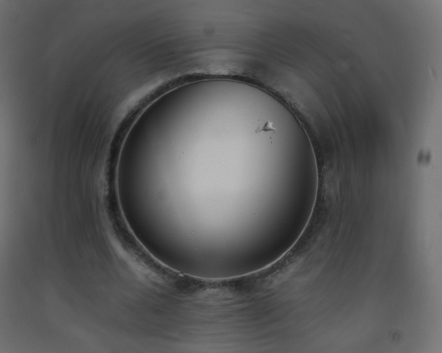 X0000093390536200710111517