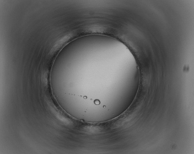 X0000093390537200710111517