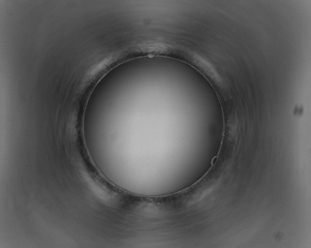 X0000093390538200710111517