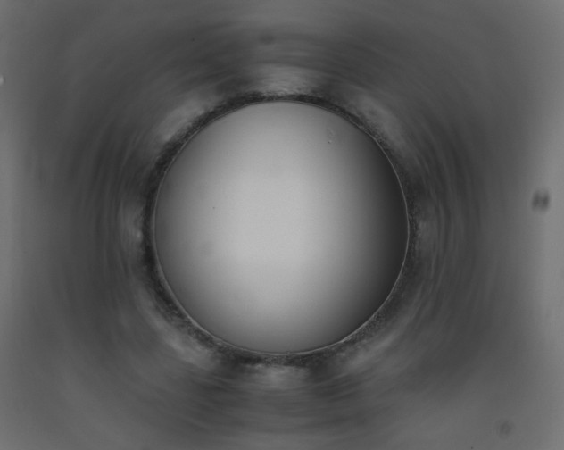 X0000093390539200710111517