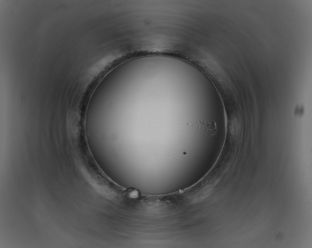 X0000093390540200710111517