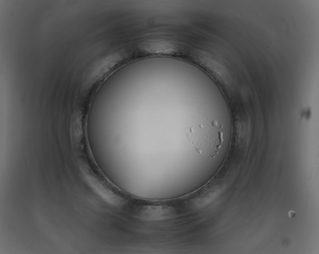 X0000093390541200710111517