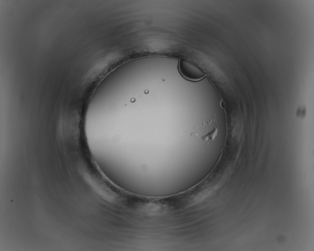 X0000093390542200710111517