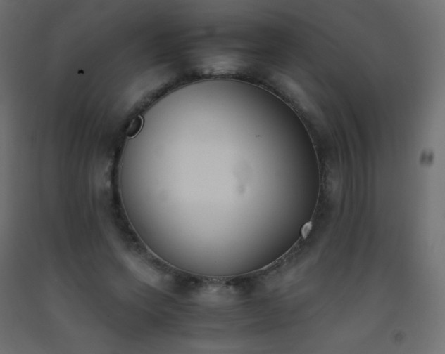 X0000093390543200710111517