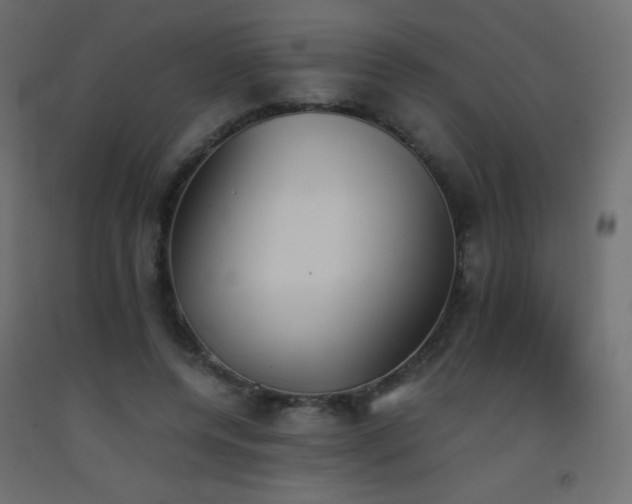 X0000093390544200710111517