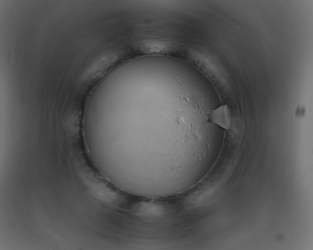 X0000093390545200710111517