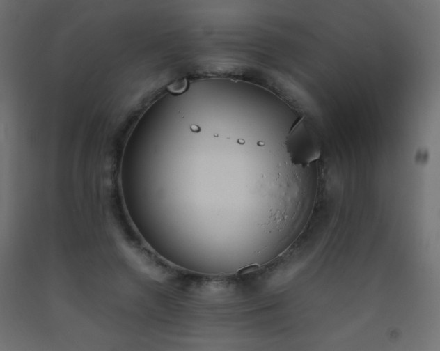 X0000093390546200710111517