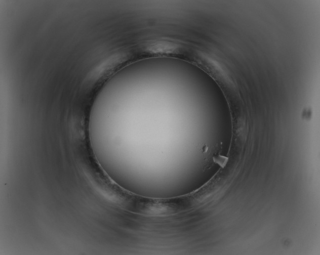 X0000093390547200710111517