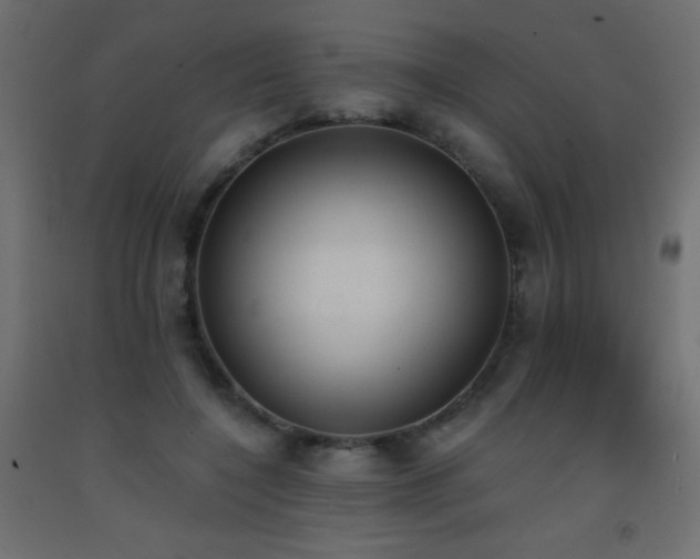 X0000093390548200710111517