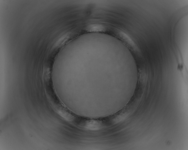 X0000093390549200710111517