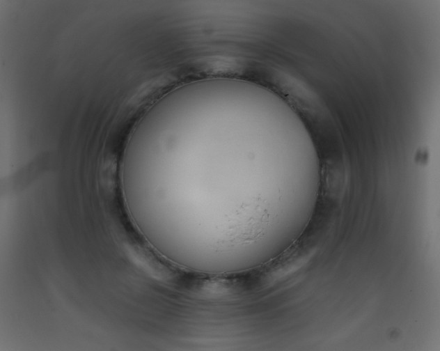 X0000093390550200710111517