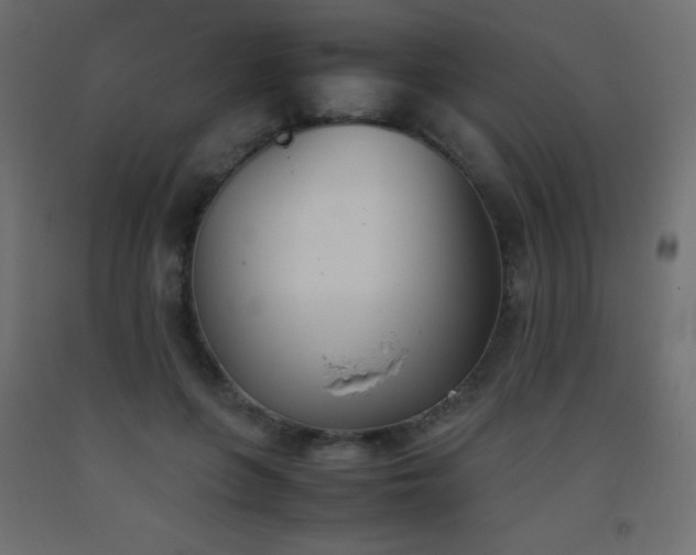 X0000093390551200710111517